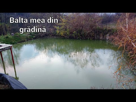 Balta mea din grădină - Apa limpede ,facem curătenie si ies peștișorii la pâine 🐟 Cât m a costat 🤔❗