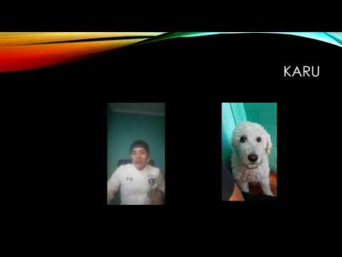 ingles familiar video