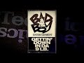 LL Cool J - No Airplay (Bad Boy Remix) (1995) [Promo]
