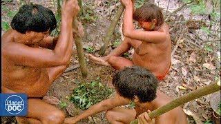 Inhabitants of the Amazon jungle (Tribes) - Full Documentary