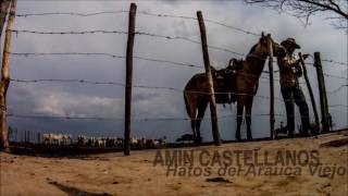 Video Hatos Del Arauca Viejo de Amin Castellanos