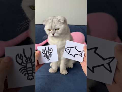 Sonia Is Fulfilling All The Wishes Of Kitty ☺️