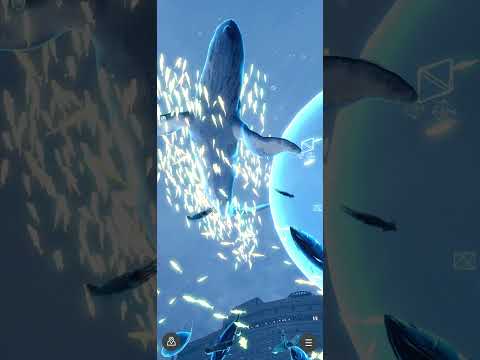 Enchanted Ocean Odaiba video thumbnail