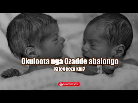 Okuloota nga Ozadde abalongo (Dreaming of twins) Kitegeeza kki?