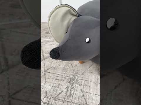Youtube-видео 