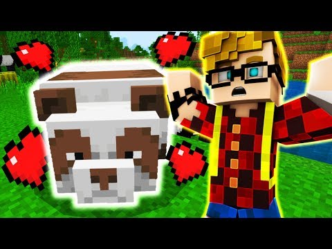 I TRIED TO BREED THE RAREST PANDA OF ALL AND IT ALMOST KILLED ME!! - Minecraft #36