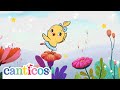Little Dolly Canticos Nursery Rhymes Kids Songs