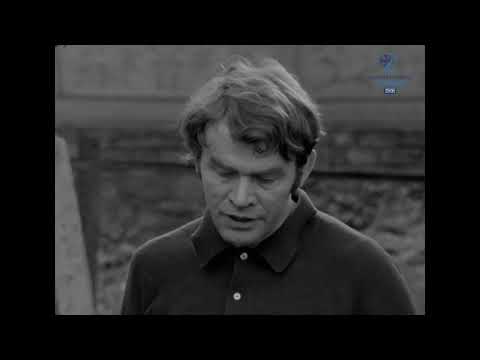 Relacje reporterskie - Hasior