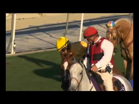 02.11.2013 Santa Anita Park (USA) 11.Race Breeders´Cup Mile 2013 - Group I 1.609 m