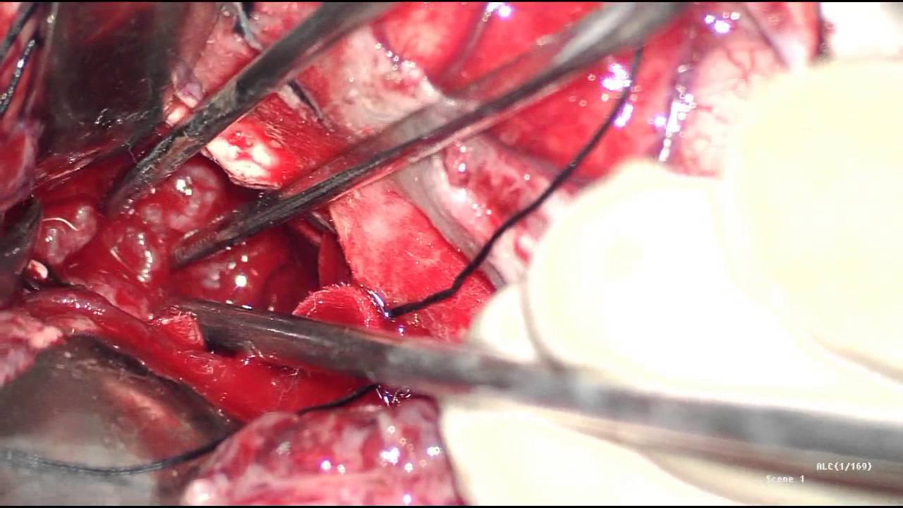 Jose Vicente Vasconez Fabre-29