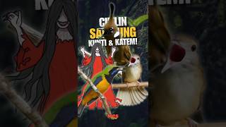Download lagu Kombinasi Horor! Masteran Cililin x Cungkok Kunti x Katem 😱🔥 mp3