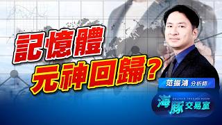 台積電熄火! 萬物就重生! 記憶體終於要回暖了? 海豚告訴你