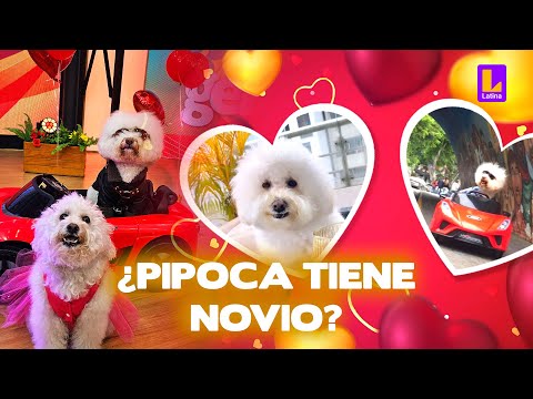 Pipoca had her first date with Anko and did it go wrong? l Arriba Mi Gente