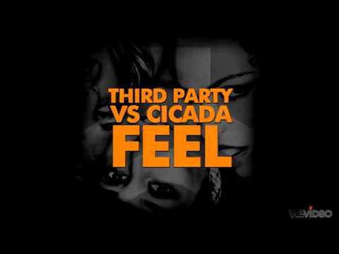 Third Party vs. Cicada - Feel (Original Mix)