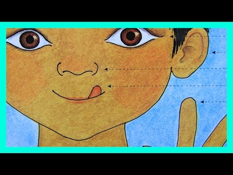 Read with ATFT 16|My Five Senses