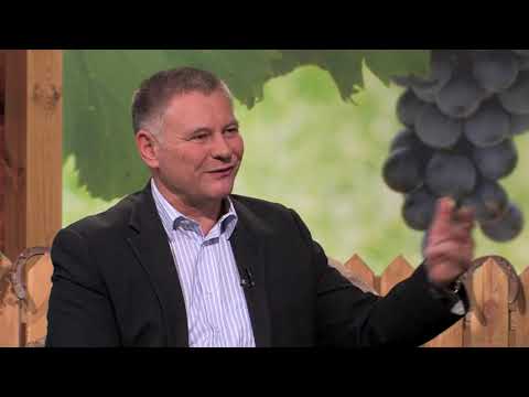 Naše dobro ep. 31 22.12.2018. zemljište, tov junadi, seoski turizam, zadrugarstvo, nega papaka