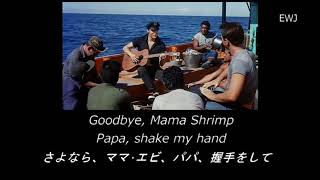(歌詞対訳)  Song Of The Shrimp - Elvis Presley (1962)
