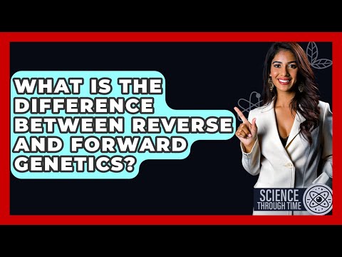 What Is The Difference Between Reverse And Forward Genetics? - Science Through Time