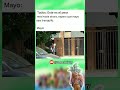 Memes Dragon Ball 224 Dbz Db Dbs Shorts Memes Video Goku Funnyvideo Dragonball Clay Art
