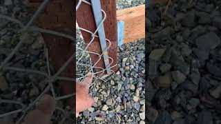 How To Attach Chain Link Fencing ⛓️To A Wood Post 🪵 #chainlink #woodfence #construction