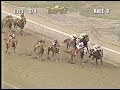 Horses N Courses December 24 1997
