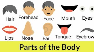 Parts of the body, human body parts, parts of the body name