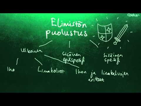 Elimistön puolustus yleisesti