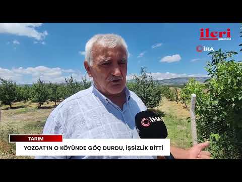 Yozgat'ın o köyünde göç durdu, işsizlik bitti | İleri Gazetesi