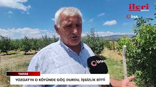 Yozgat'ın o köyünde göç durdu, işsizlik bitti | İleri Gazetesi