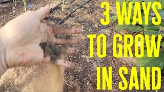 3 ways to grow in sandy soil