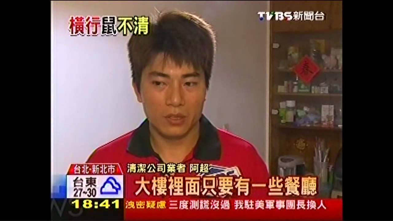 家住「購物中心」樓上　業者月捕上百鼠