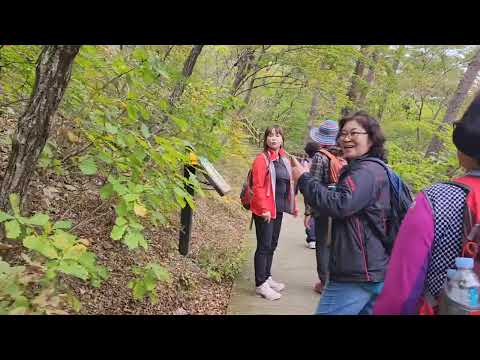 Montanhismo!Montanha Juwangsan,Em Cheongsong