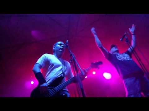 Holera, Pizza, Svetlio and Legends and Hipodil 5th part