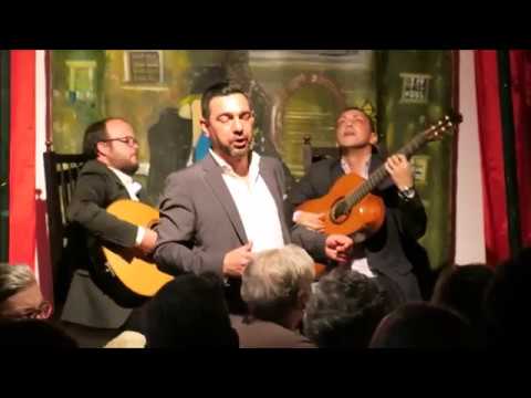 Pedro Galveias - "Da janela do meu quarto"