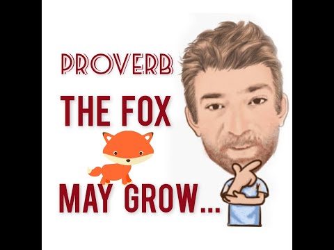 The Fox May Grow Grey but Never Good - Proverbs (624) Origin - English Tutor Nick P