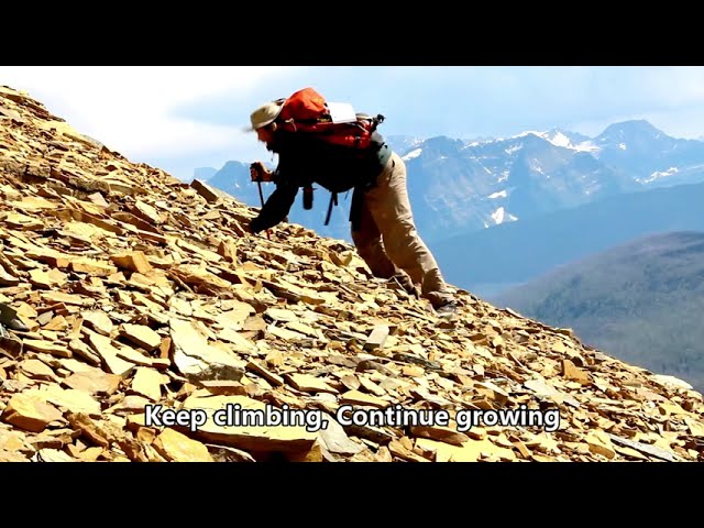 Placeholder image for video