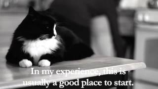 Henri - "On Cat Food Boredom", Part 1 of 4