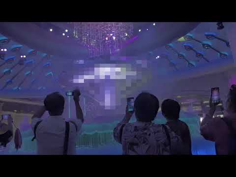 SoccerPractise - Te Pō - Yellow Pill