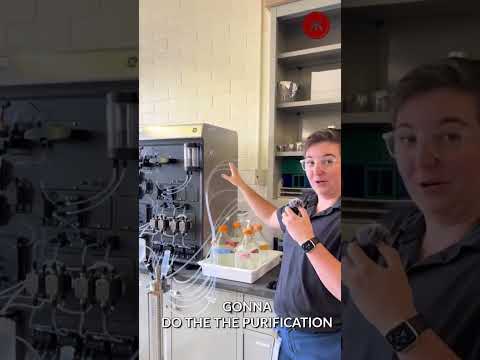 Step into the lab with Megan, one of our scientists at Zhittya, as she takes you behind the scenes!