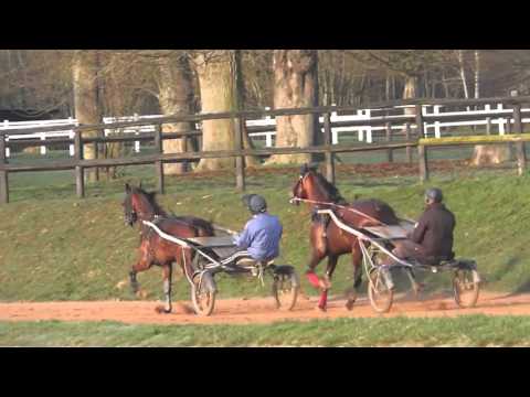 Américaine Dobson de Viette (1) et Orléans Font (2)