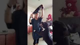 Download lagu hathon mein aa Gaya Jo kal rumal aapka 😘😊👍 mp3 Download lagu hathon mein aa Gaya Jo kal rumal aapka 😘😊👍 mp3