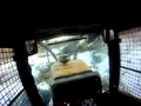 Skidder Girl - Do I look like a boy to you?