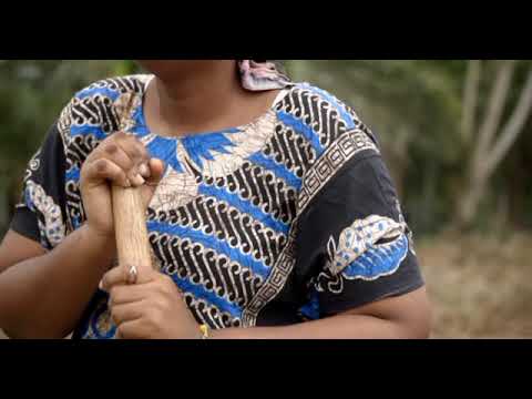 DRAGON MACHINE Feat Doctor Flavour _ Naupate ( Official Music Video )