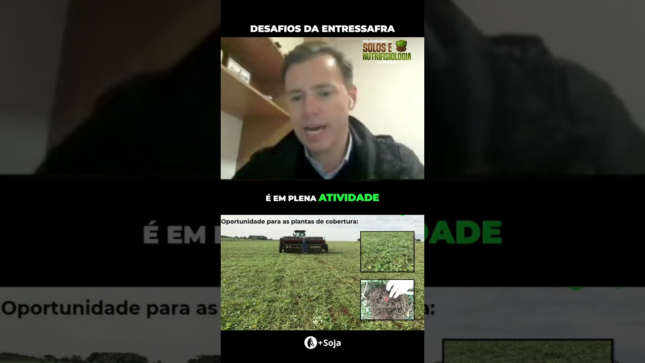 Desafios da entressafra #agro #maissoja