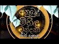 anubudu-mihindu-wandana-30-06-2019