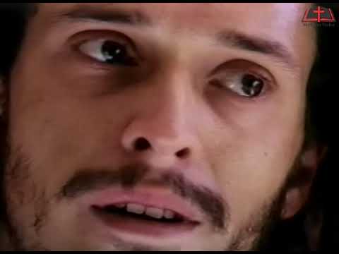 DVD N°5 Sigo Caminhando