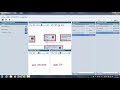 Siemens Proneta Video 2