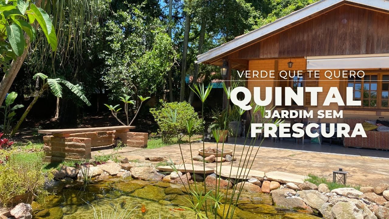 QUINTAL DO DANI. UM PROCESSO DE INTERAÇÃO COM O JARDIM.#quintal #plantas #paisagismosemfrescura