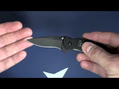 Kershaw Scallion 1620H3
