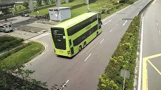 Sbs transit buses mbo530 sg1045C service 170X blue